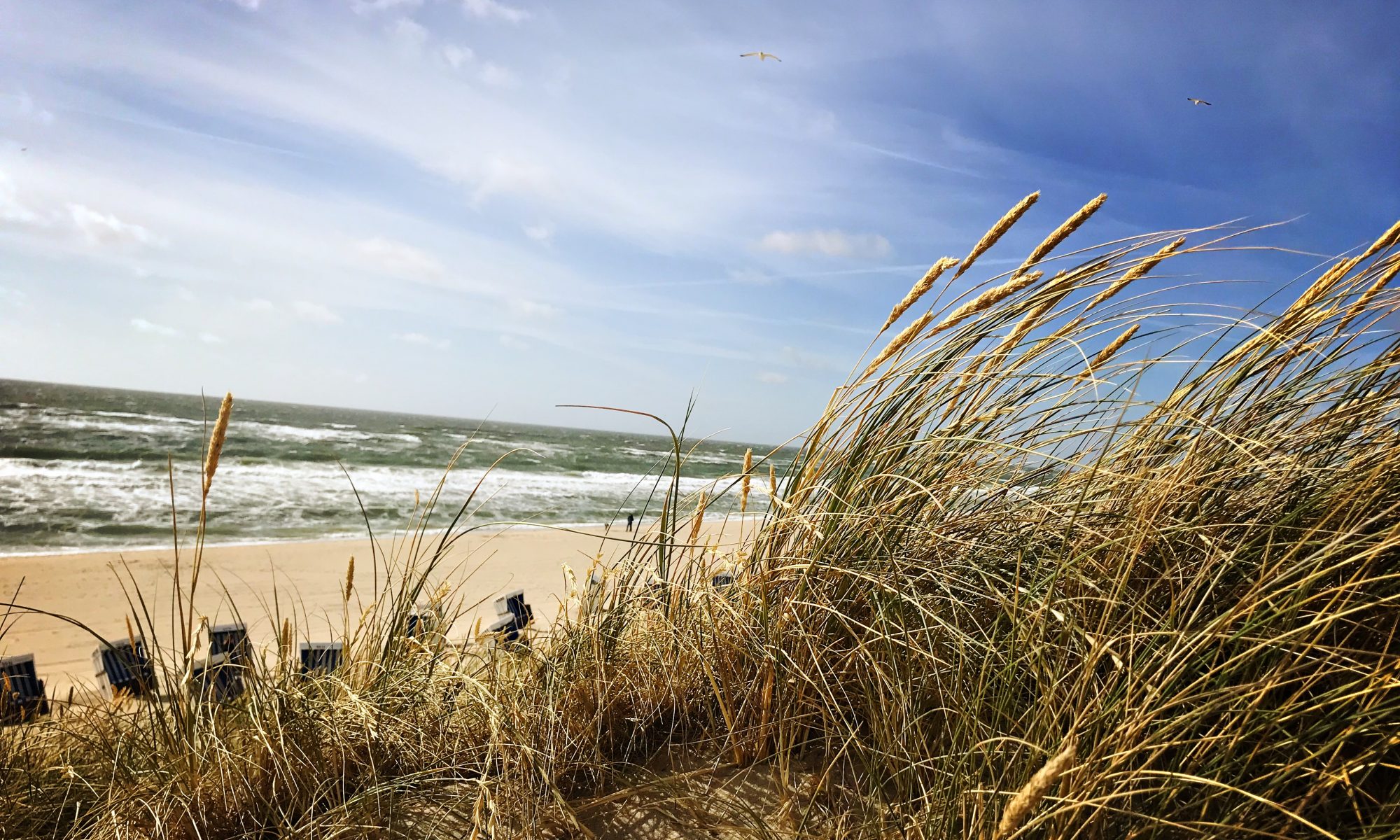 Sylt am Meer . Nordsee